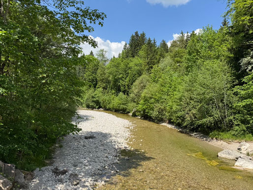 Abkühlen am Grenzsteig - auf dem Weg zur Klausenbachklamm