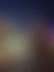 Ein Blick in den Park