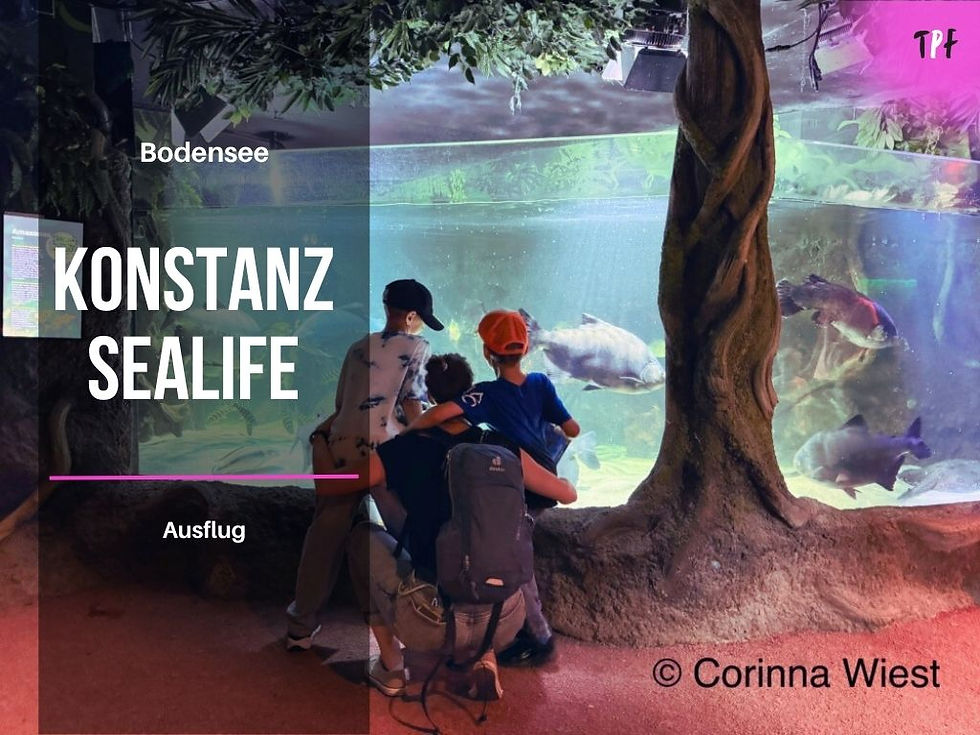 Meine Jungs und ich im SeaLife