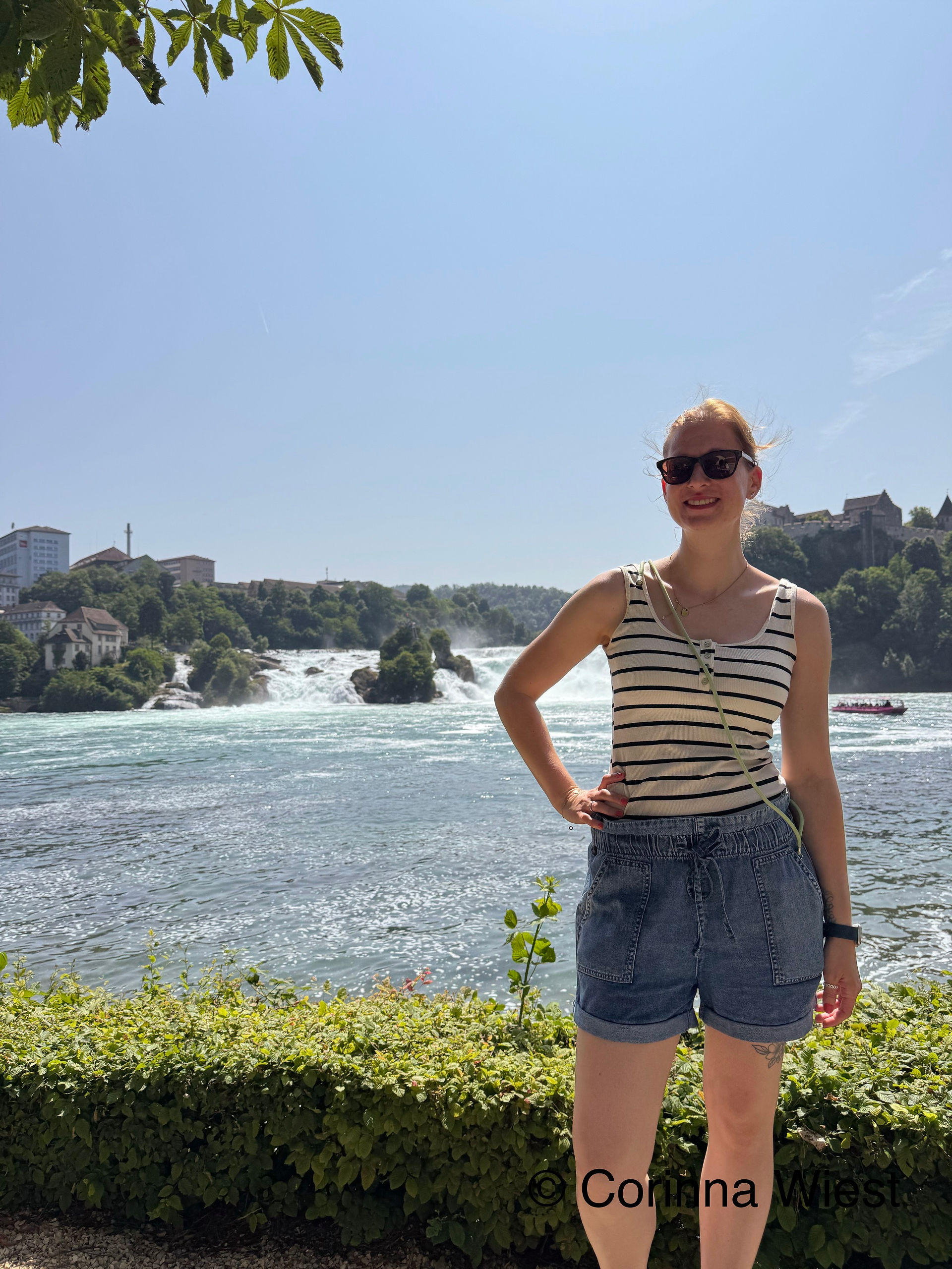 ich vor den Rheinfällen.