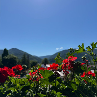 Blick vom Hotelbalkon