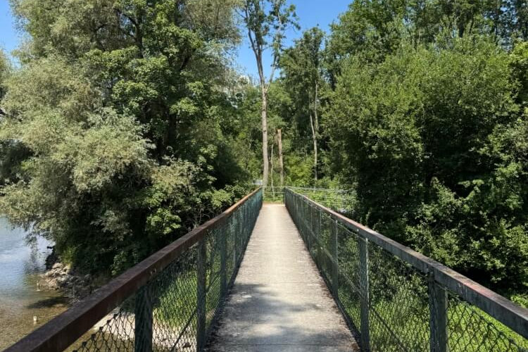 Hängebrücke als Überquerungshilfe.