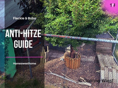 Häschen Anti-Hitze Guide – So schützt du deine Kaninchen vor Sommerhitze!