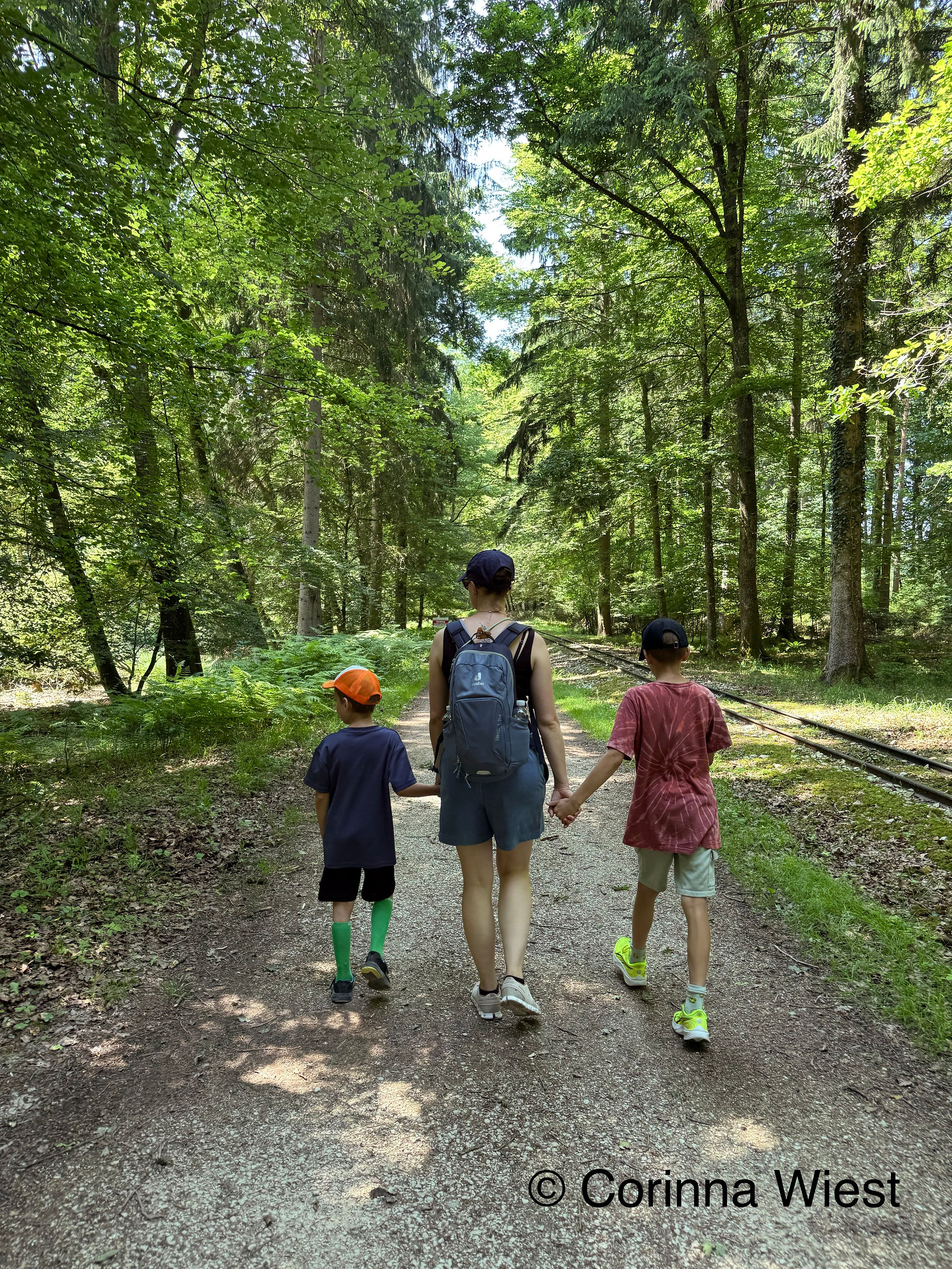 So entspannt durch den kühlen Wald.
