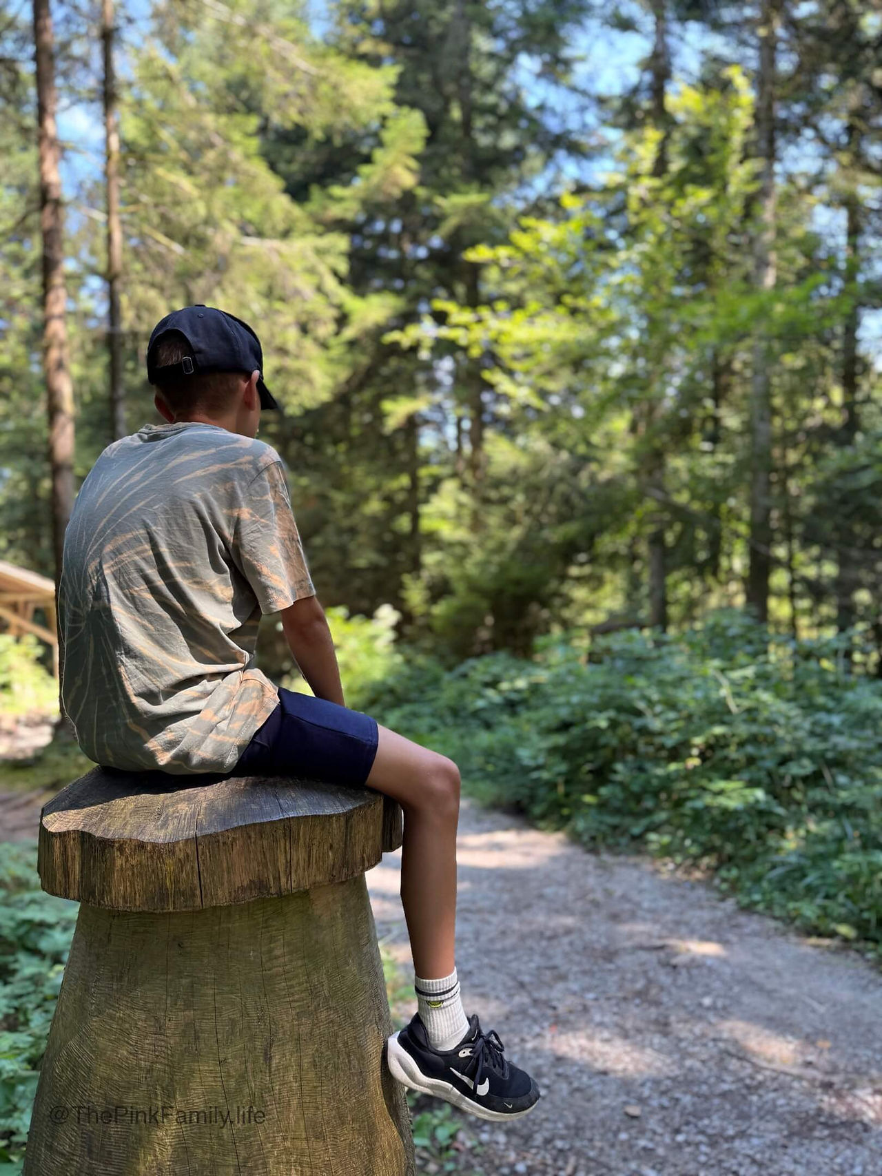 Ruhe im Wald genießen.