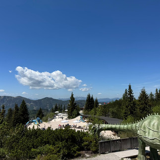 Ausblick im Tirassic Park