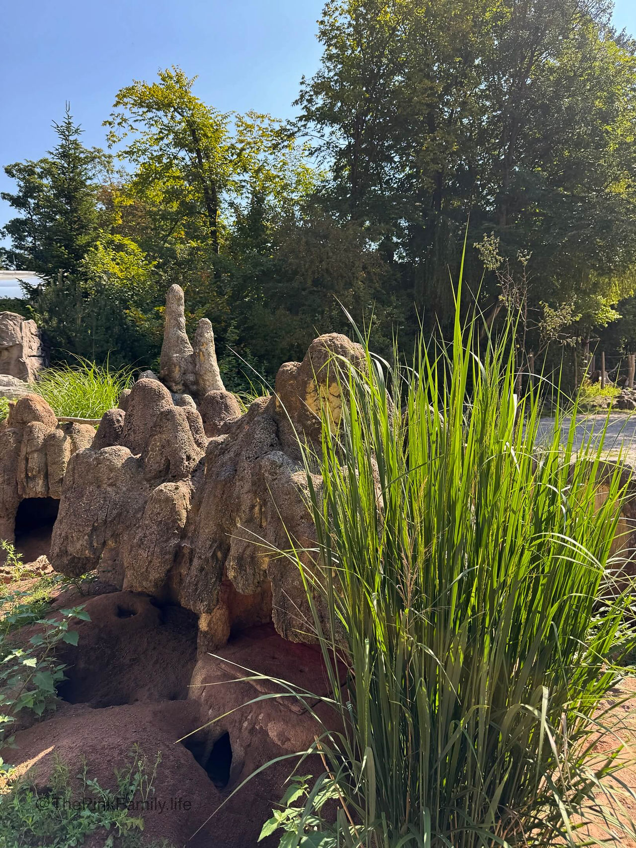 Savannen-Landschaft im Zoo Hellabrunn.