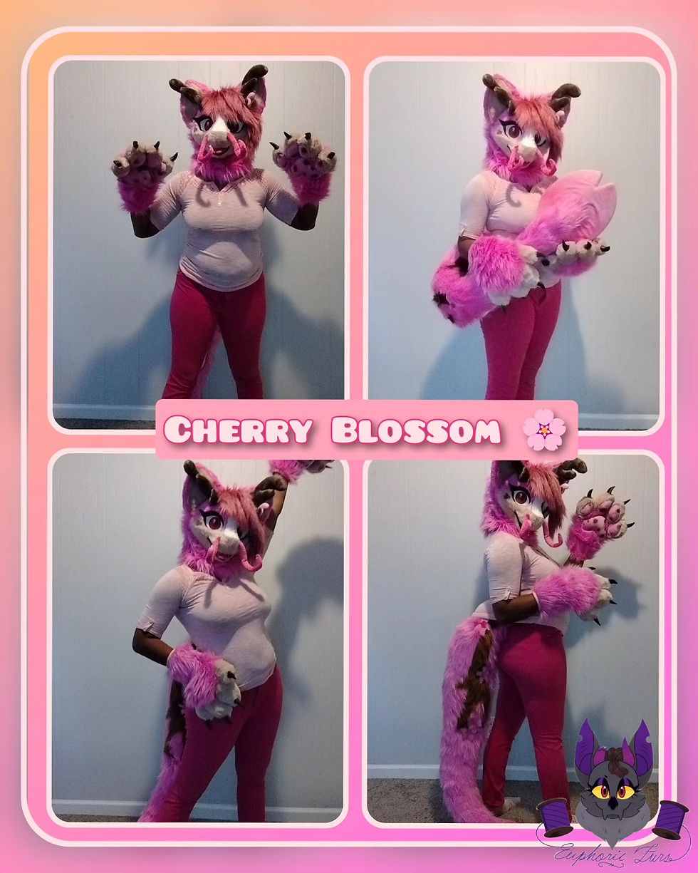 Cherry Blossom Premade