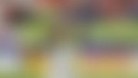 Incredibile Udinese, accordo di massima per Alaba: il difensore pronto a sbarcare in Serie A