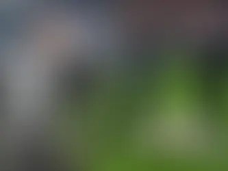 Serie A - Juventus, notte perfetta allo Stadium: Bologna ko e omaggio a Manninger