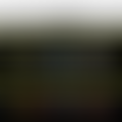 Qualificazione Champions League - Storico dei confronti delle partite della quindicesima giornata | I pronostici di Friendsault