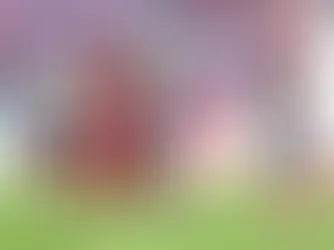 Musiala sviene ancora in campo, nuova apprensione in casa Bayern Monaco