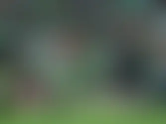 Irlanda-Austria, proteste pro Palestina: palline in campo e invasione durante la partita