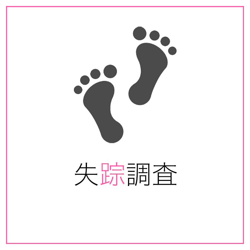 失踪人調査