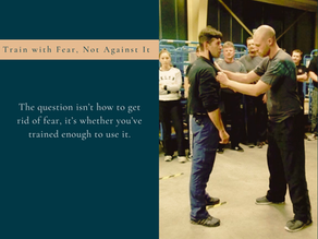 Fear, Function, and Fight: A Cognitive-Behavioral Perspective on Krav Maga