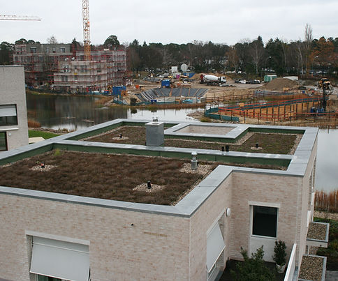 Fertiggestellte Wohnhäuser mit begrünten Flachdächern am Wasser.