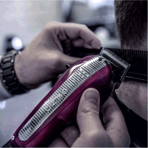 wahl legend price