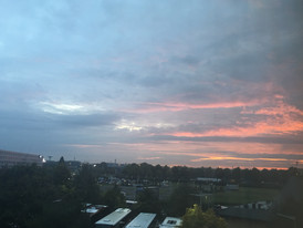 "Only from the heart can you touch the sky"
- Rumi