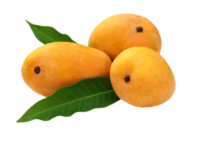 Untitled design (64).png