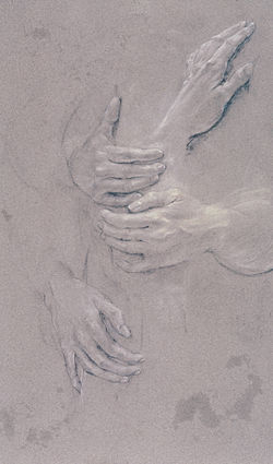 Hand Studies for Painting I