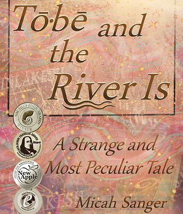 Book Cover with Medals from Andrew JPeg.