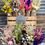 Miniaturbild: Dried Flowers Color New Trend Retail Assortment Package, Shop,Display, sustainability