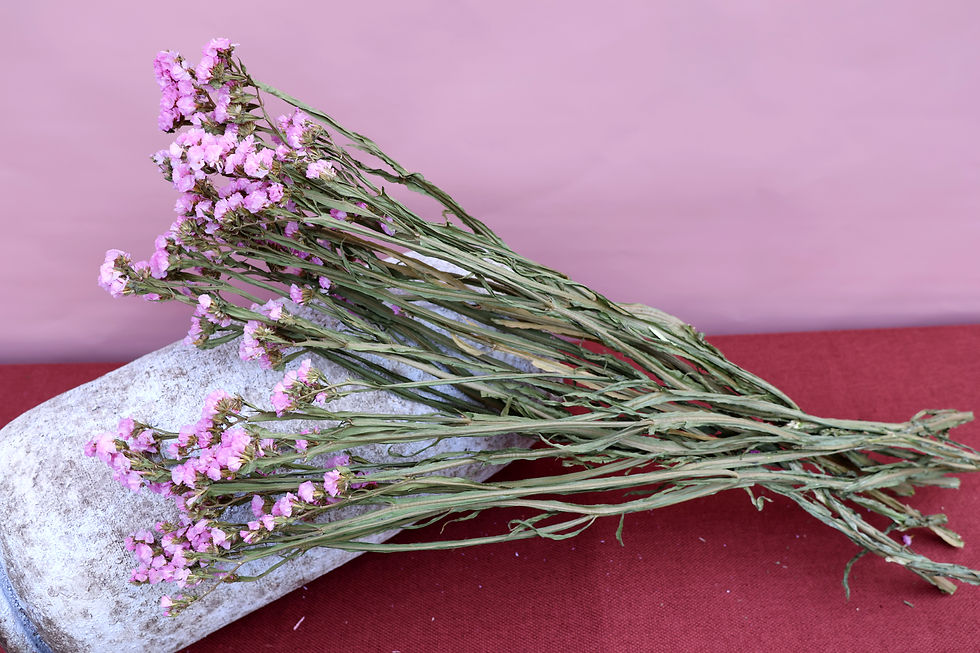 Miniature : Dried Flowers Ireland bunch  Statice natural pink