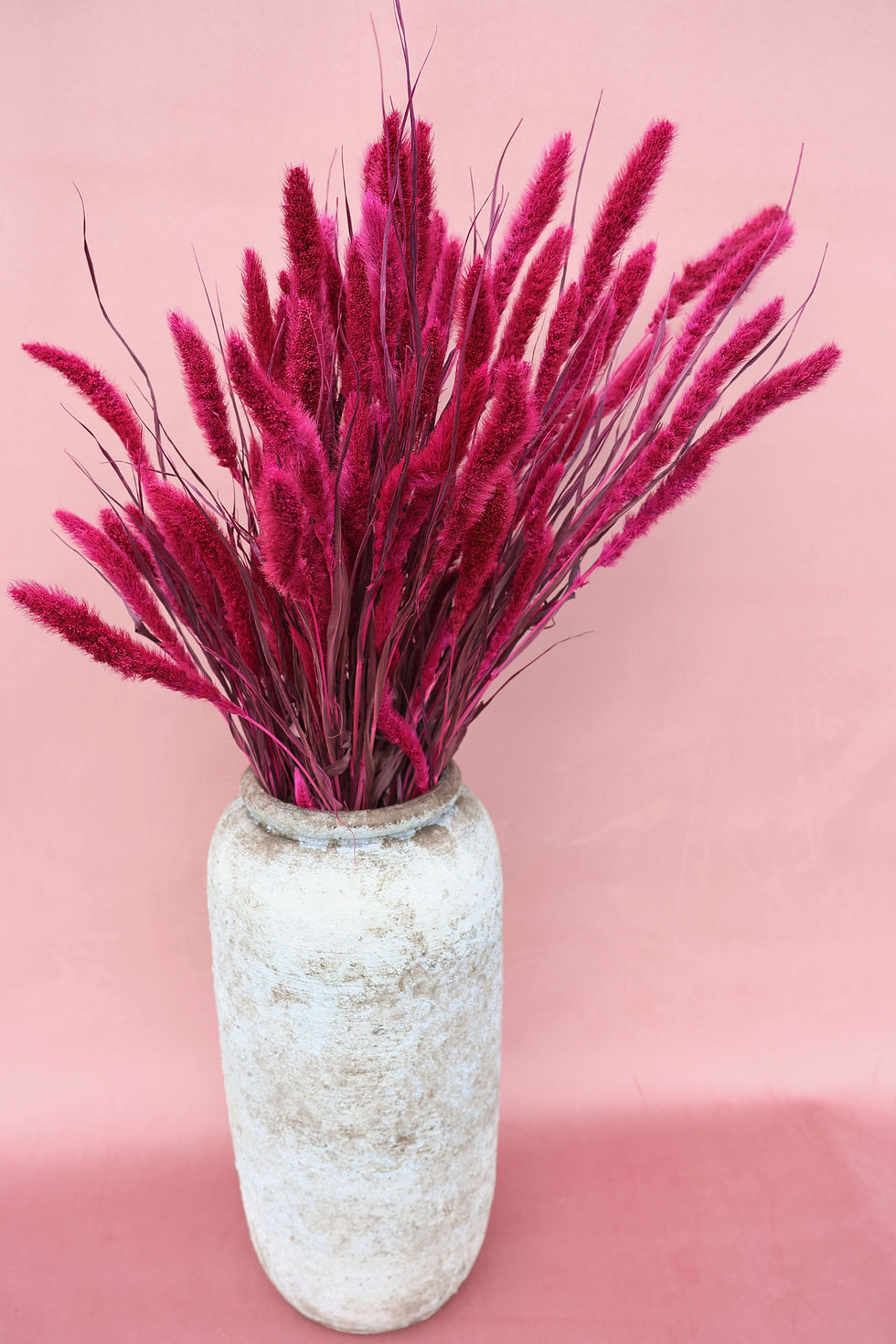 Thumbnail: Setarea cerise dried grasses