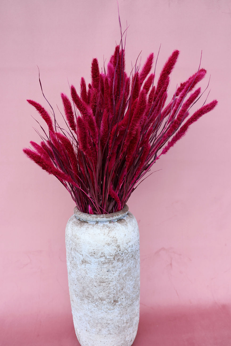 Thumbnail: Setarea cerise dried grasses