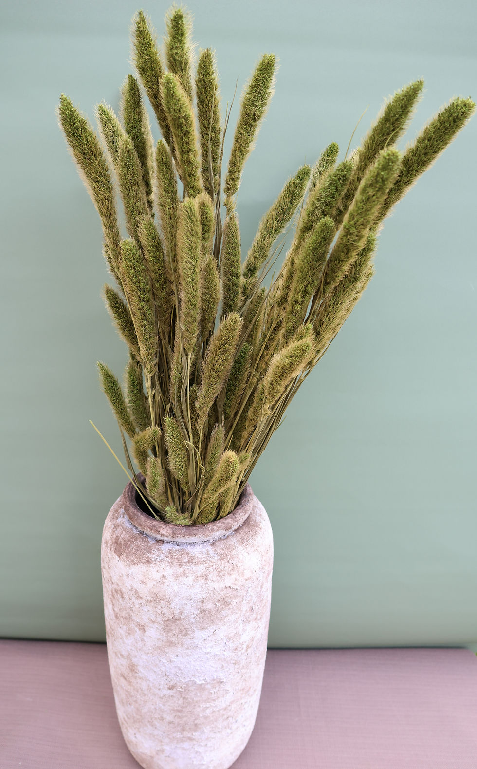 Miniaturbild: Dried Flowers Ireland bunch Setarea moss green bouquet dried grass