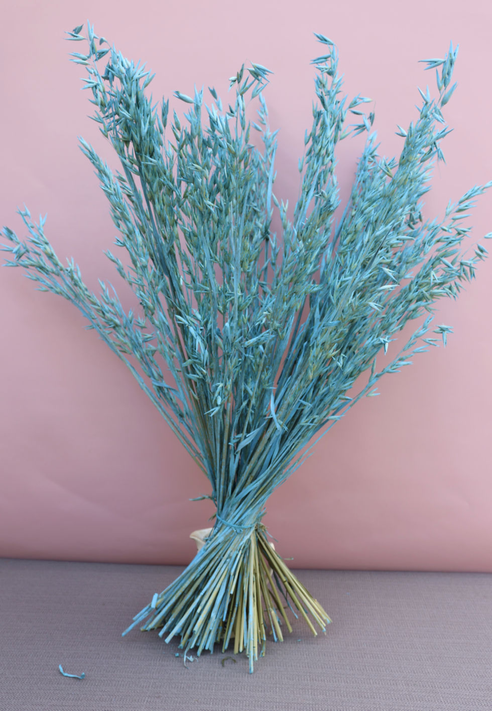 Thumbnail: ''Dried Haver Avena Blue'' Grass Foliage Florist