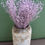 Miniaturbild: Linium lilac misty Filler to add volume Dried Flowers