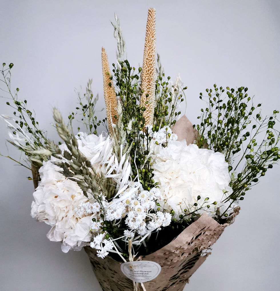 Dried Flowers Hydrangea white