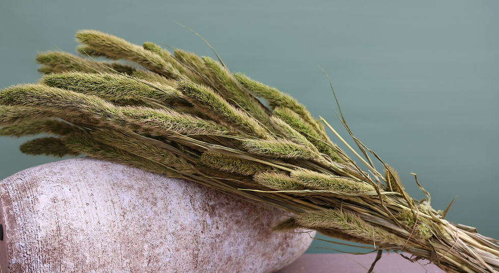 Miniaturbild: Dried Flowers Ireland bunch Setarea moss green bouquet dried grass