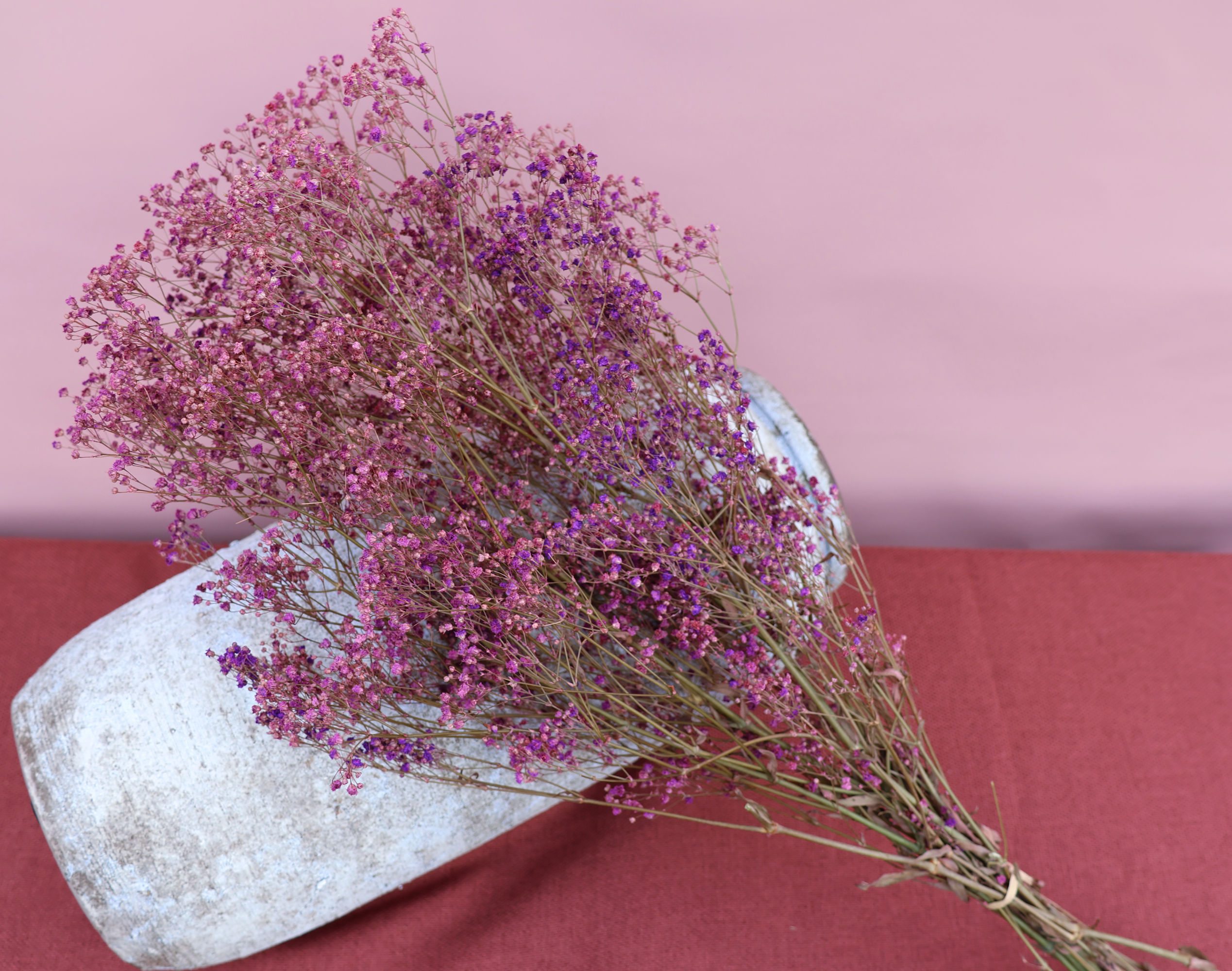 Dried flowers Ireland bunch Gypsophila preserved lilac tall dried flower vases