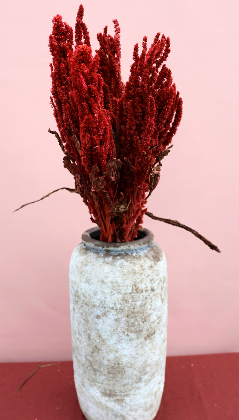 Miniaturbild: Dried Flowers Ireland Amaranthus Deep pink red Tall arrangement for vases