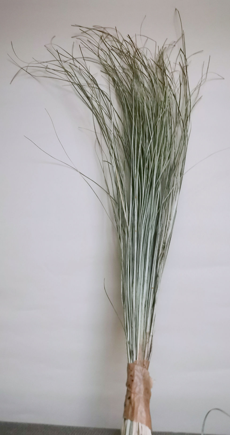 Miniaturbild: Dried Long Grass Natural Green Foliage for Bouquet Bunch