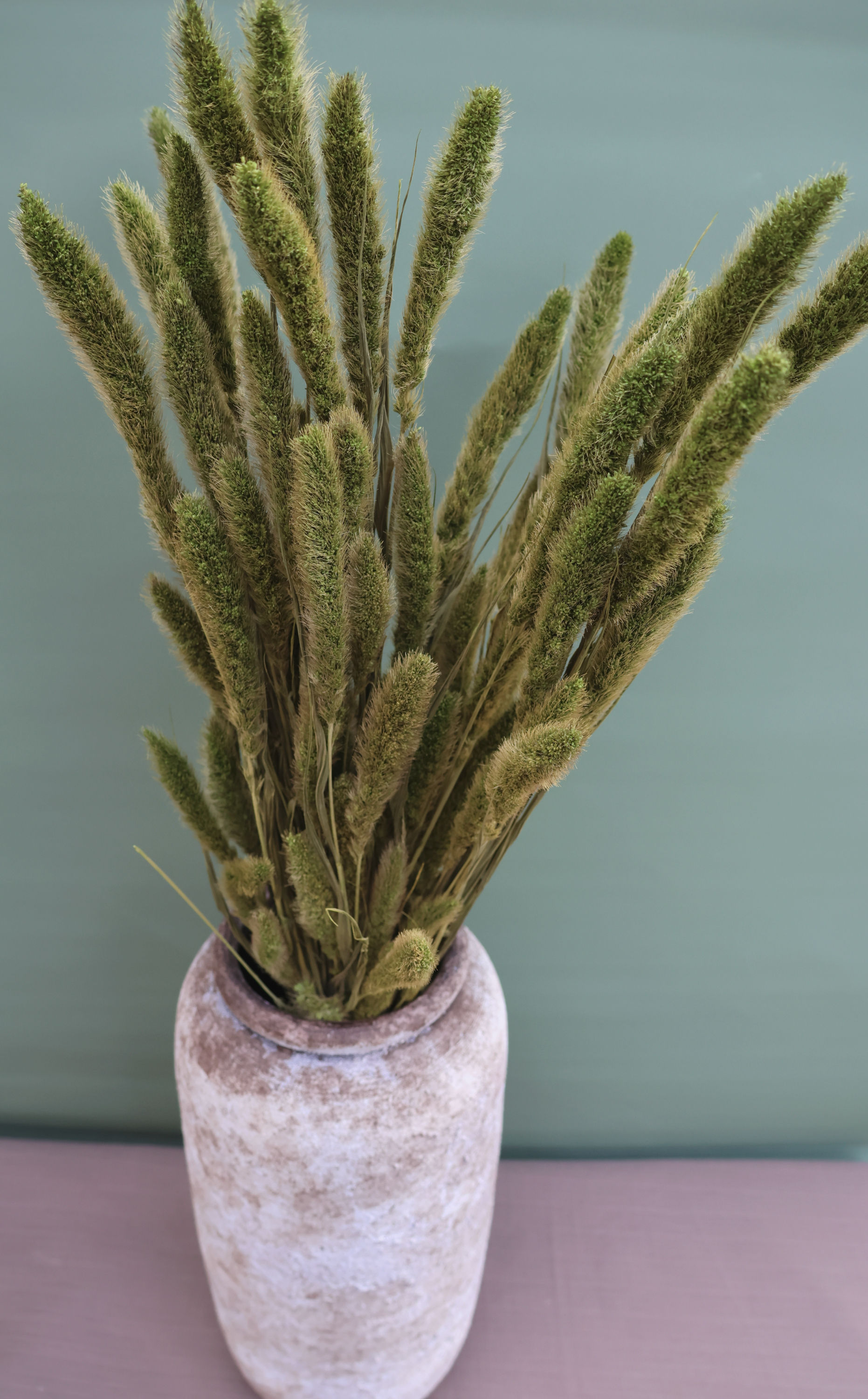 Dried Flowers Ireland bunch Setarea moss green bouquet dried grass