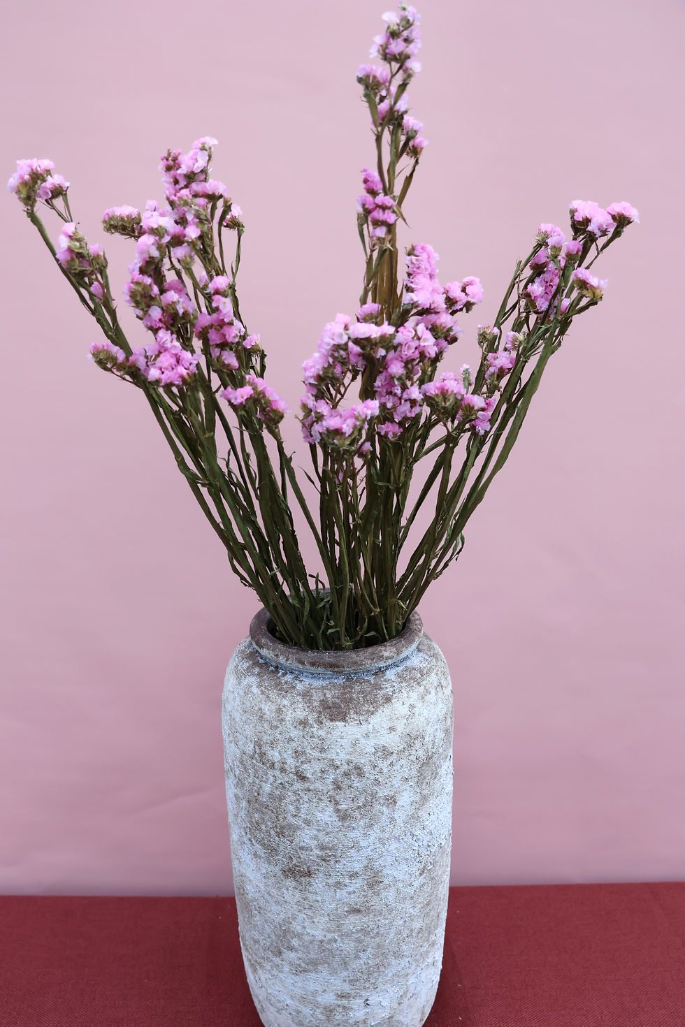 Miniaturbild: Dried Flowers Ireland bunch  Statice natural pink
