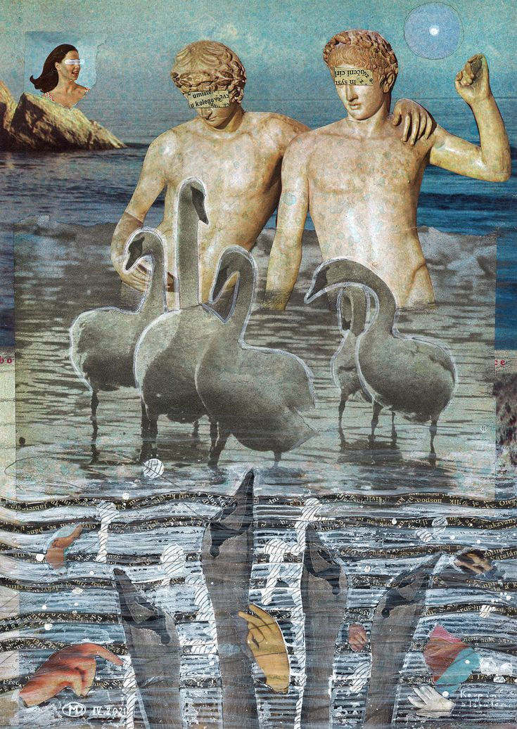 Source: found here: Swimming with swans...