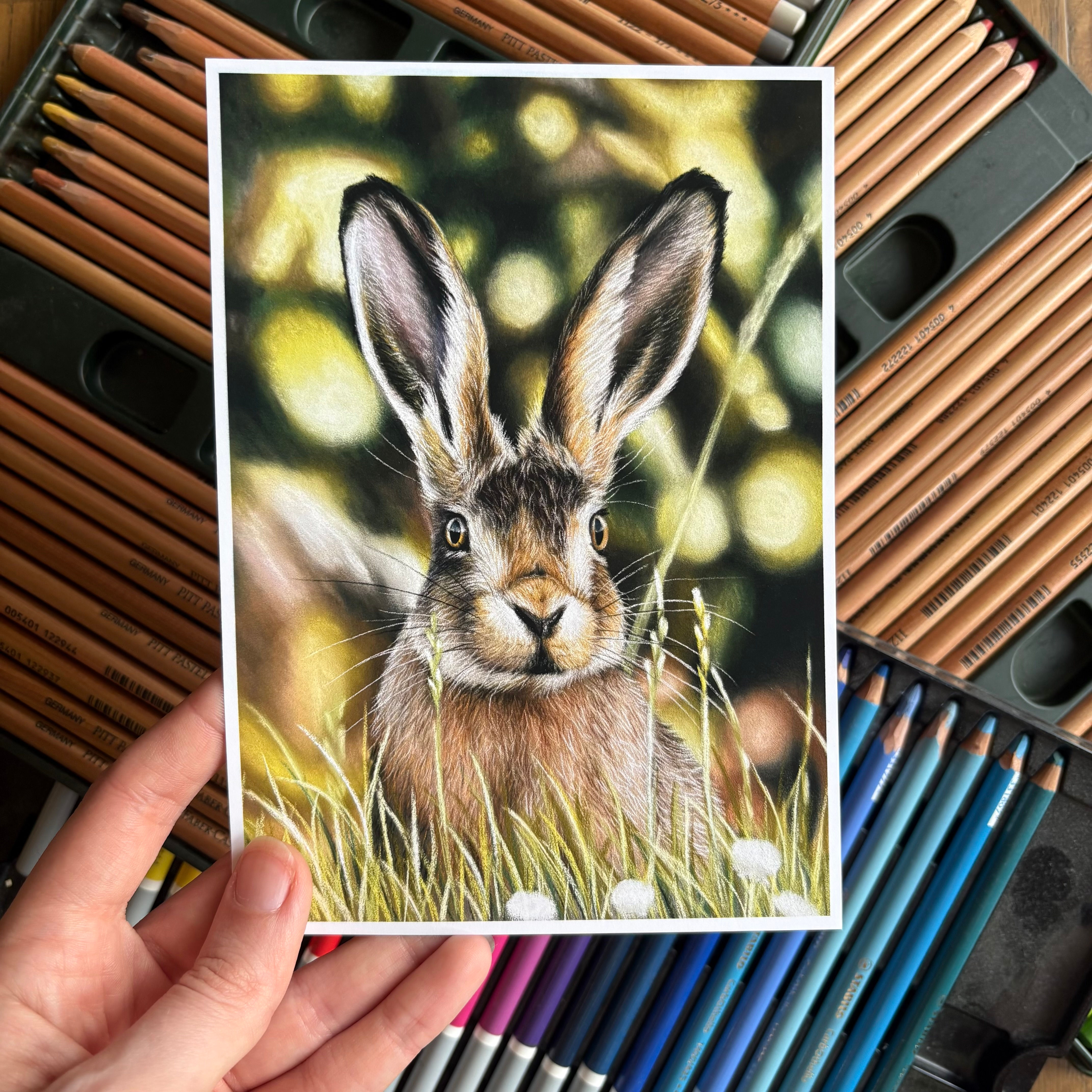 Just A Hare Away - 5 X 7 Print