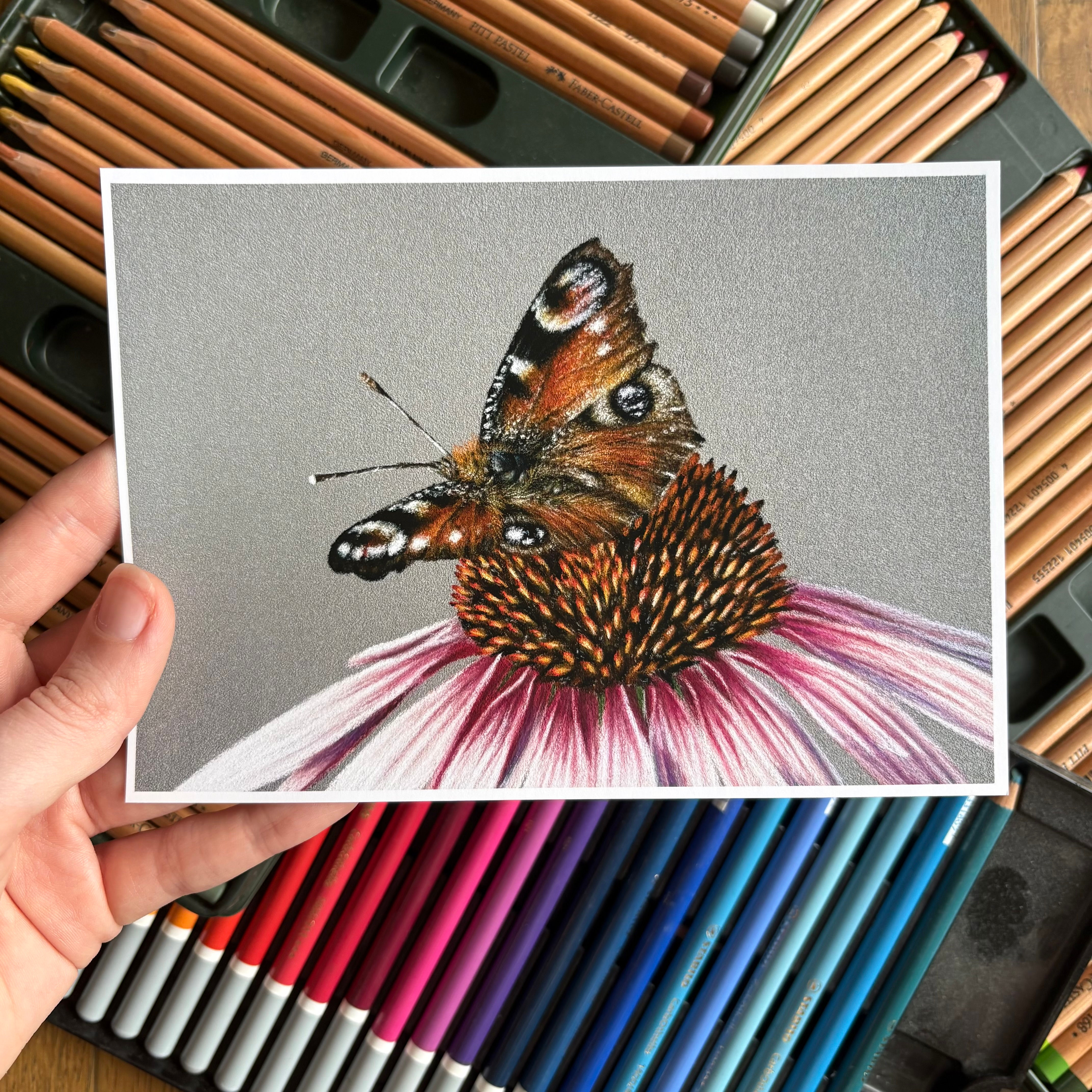 Butterfly on Purple - 5 X 7 Print