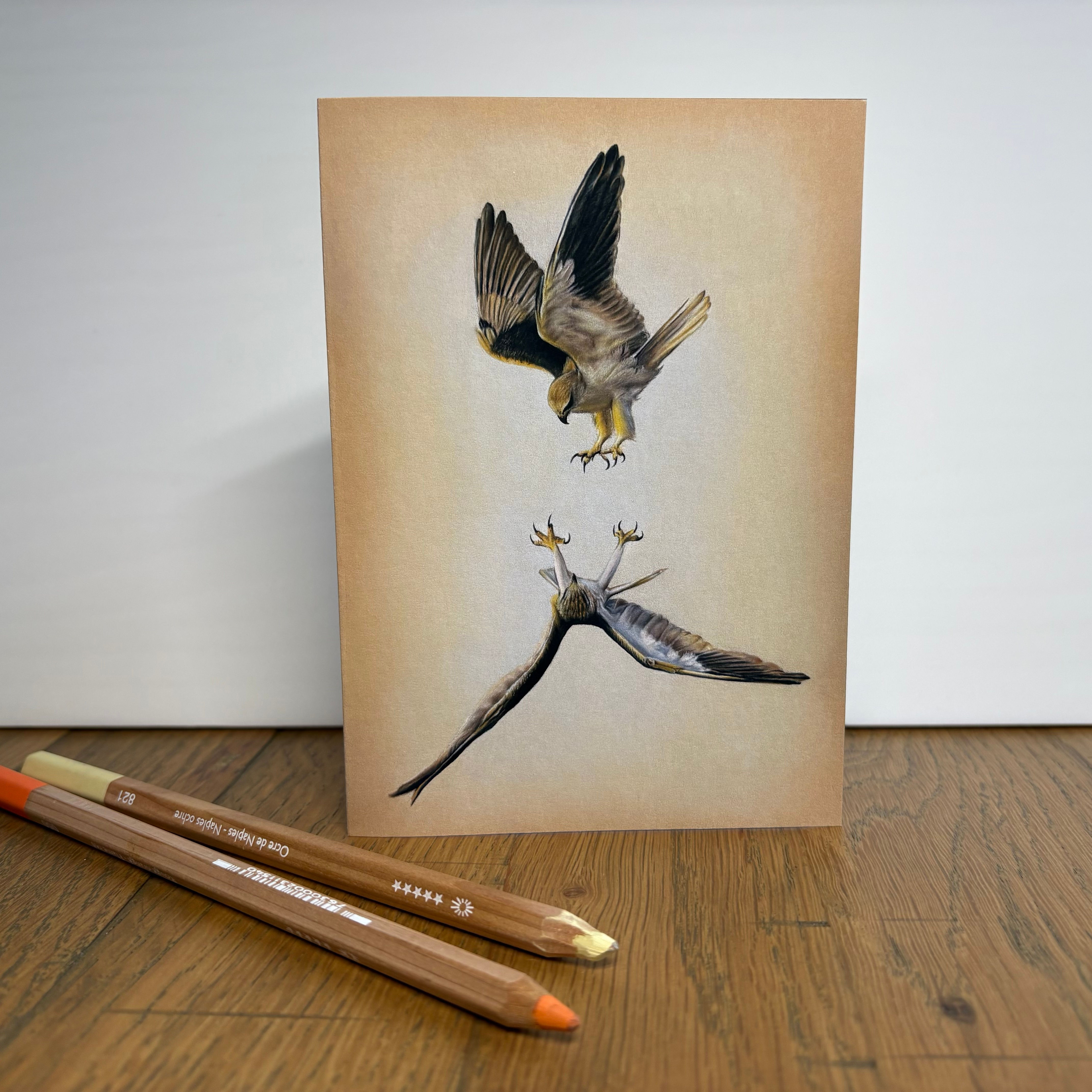 Freefall card