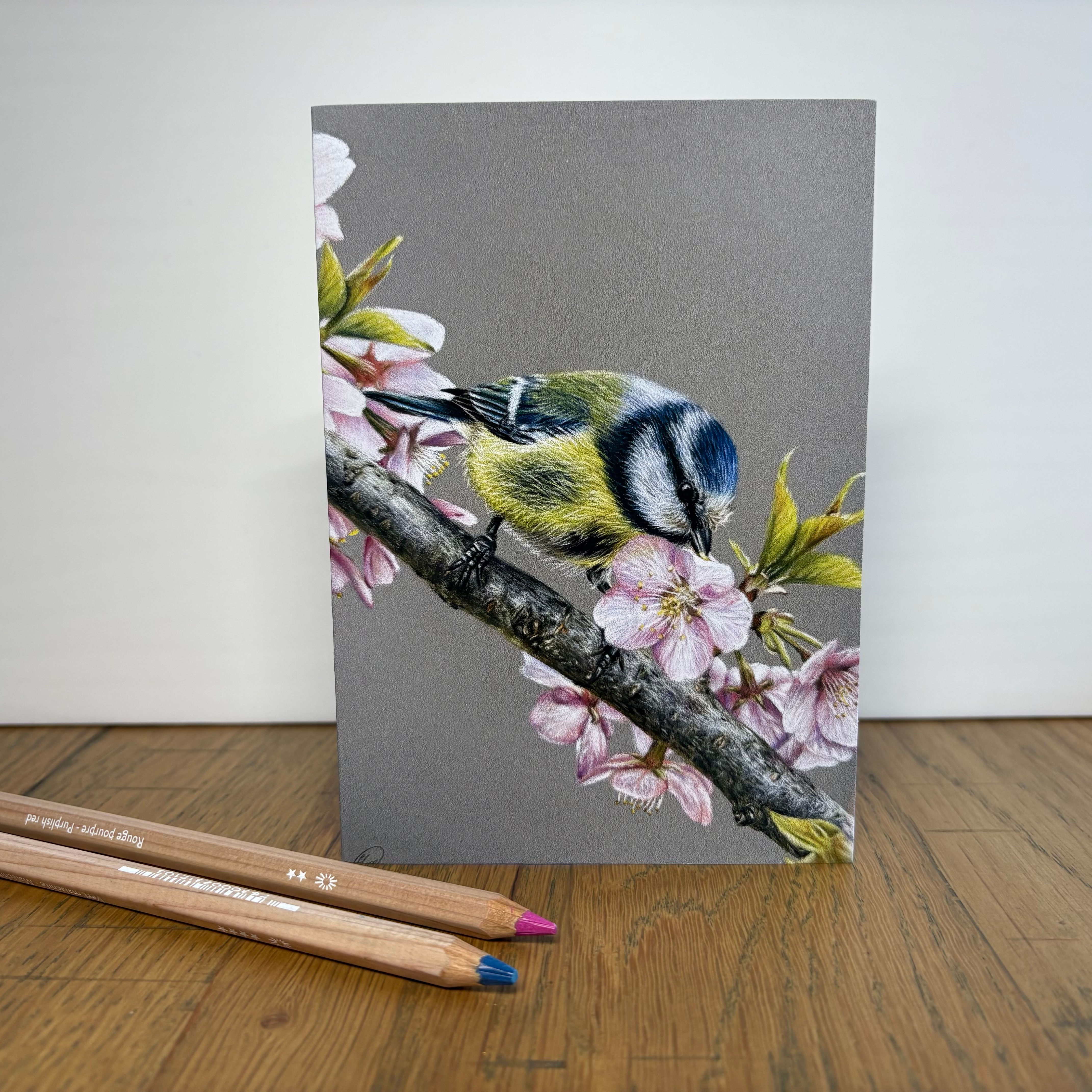 Bluetit in Spring card
