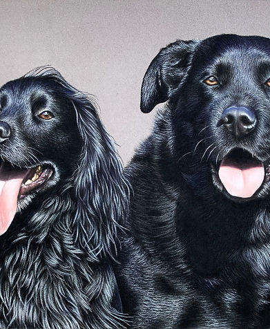 Dog - Duke and Harvey.jpeg
