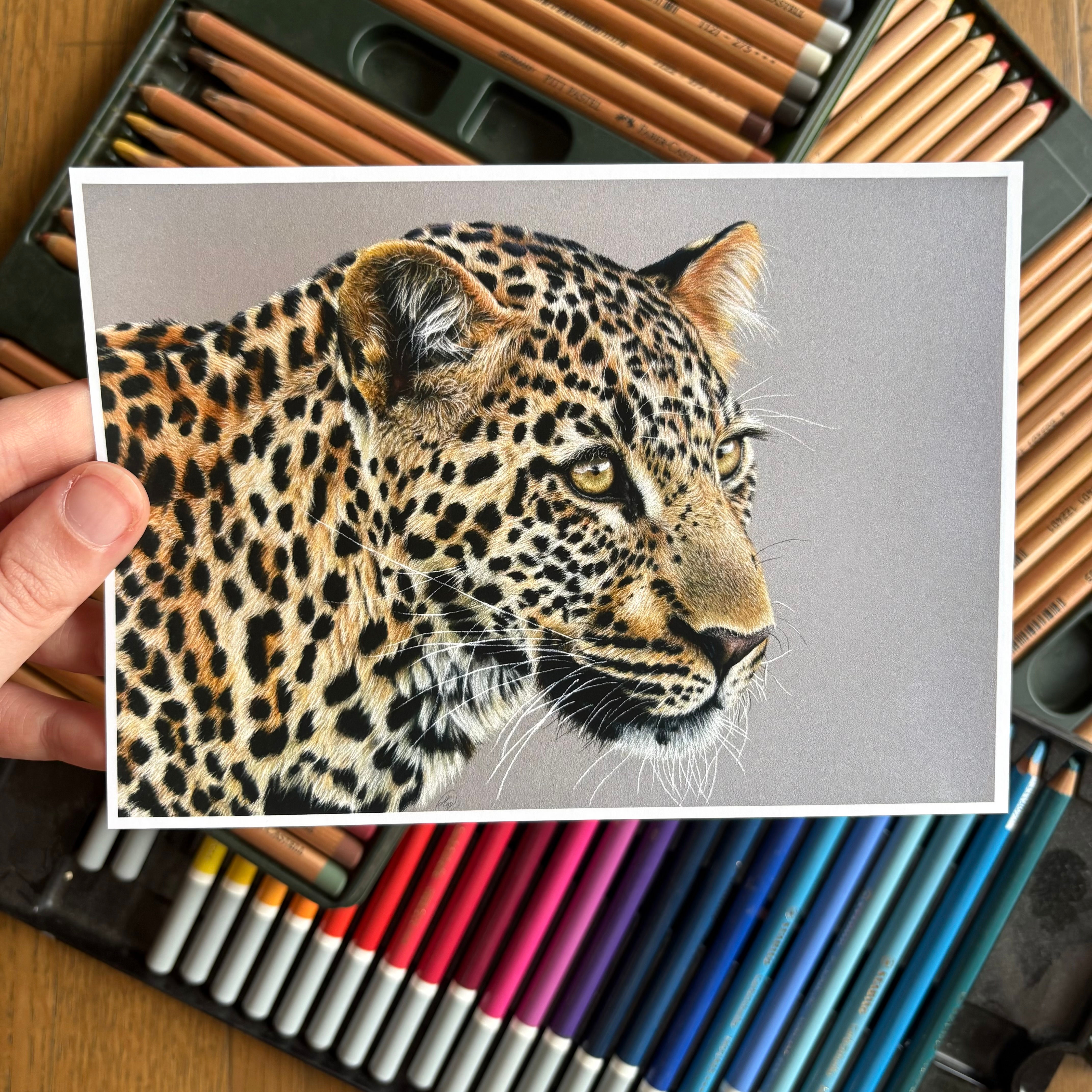 Majesty - Leopard 5 X 7 Print