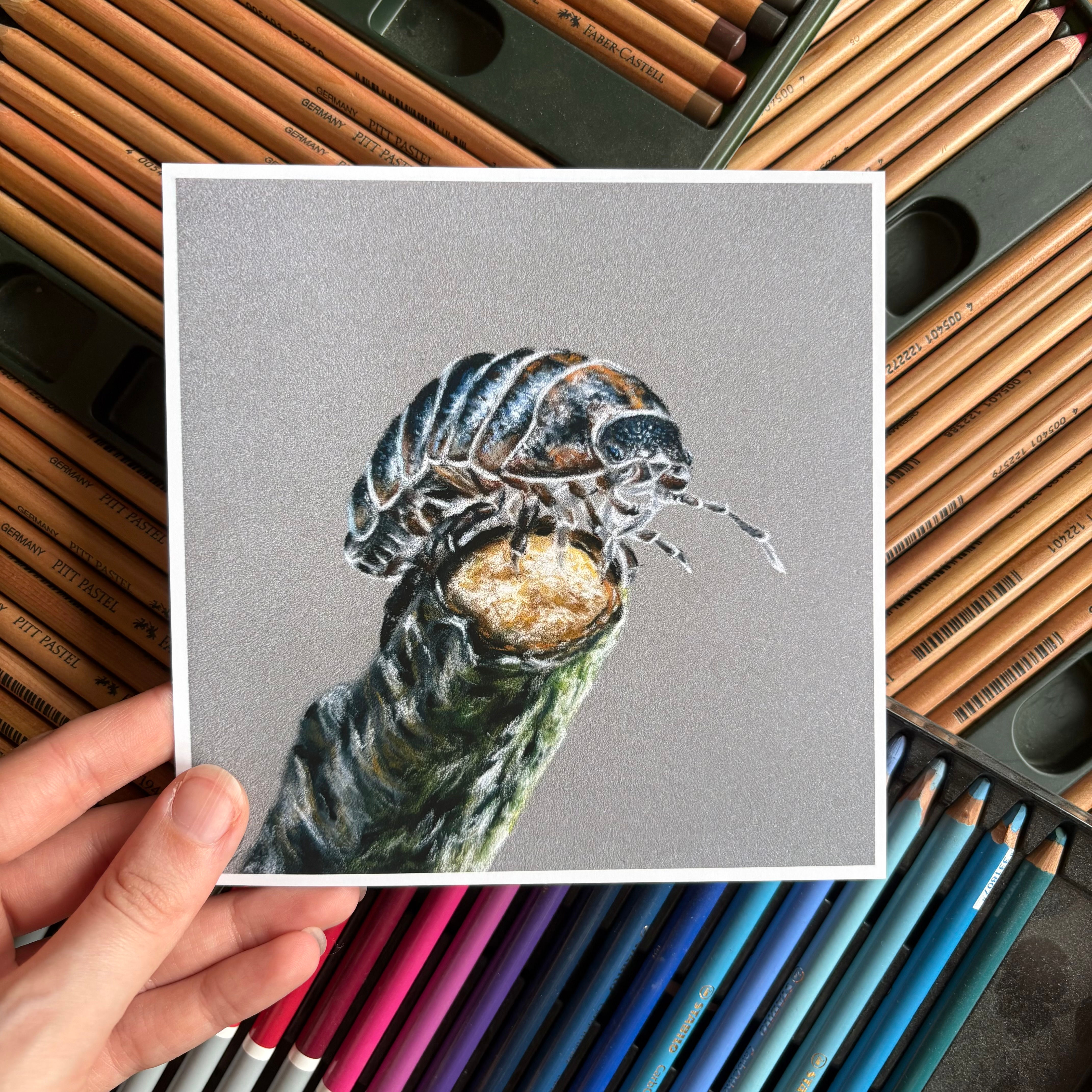 Gazer - Woodlouse 148mm Print