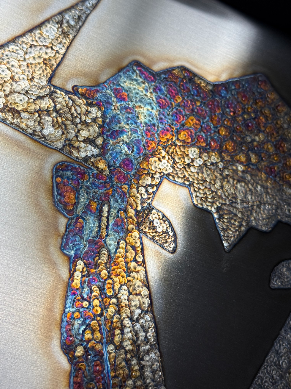 Thumbnail: Syncrude fort mcmurray wood buffalo weld art in contrasting colours left side face close up view