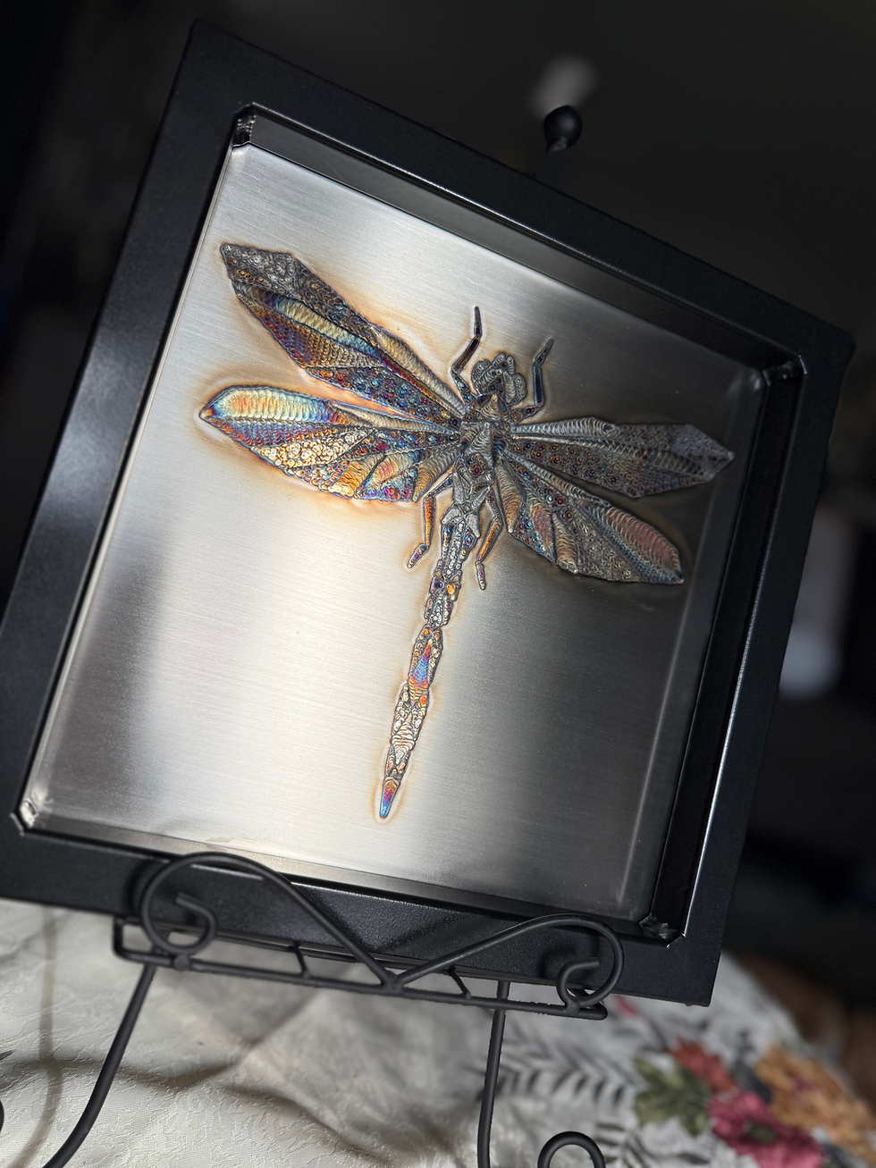 Geometric dragonfly GTAW welded free hand with varying techniques to make contrasting looks left side view