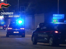 Melicucco, smantellata la baby gang dell’orrore: violenze su fragili e animali per “like” sui social